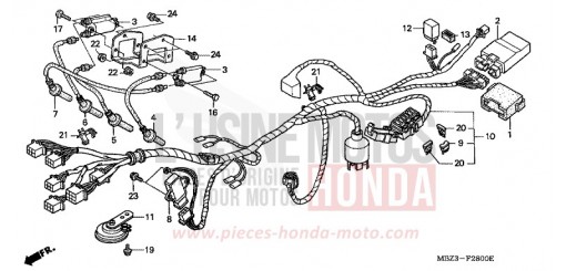 FAISCEAU DES FILS (1) CB600FW de 1998